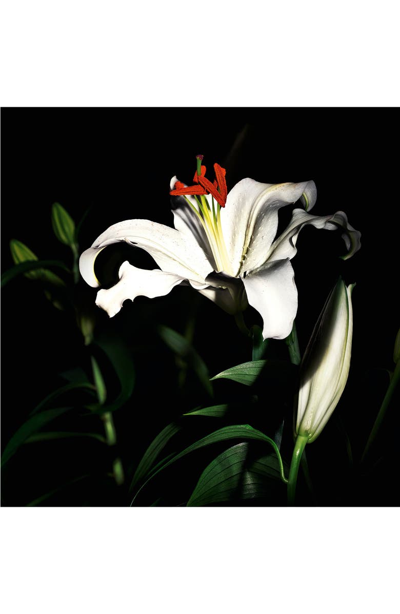 Yves Saint Laurent Capeline - Le Vestiaire des Parfums, Alternate, color,