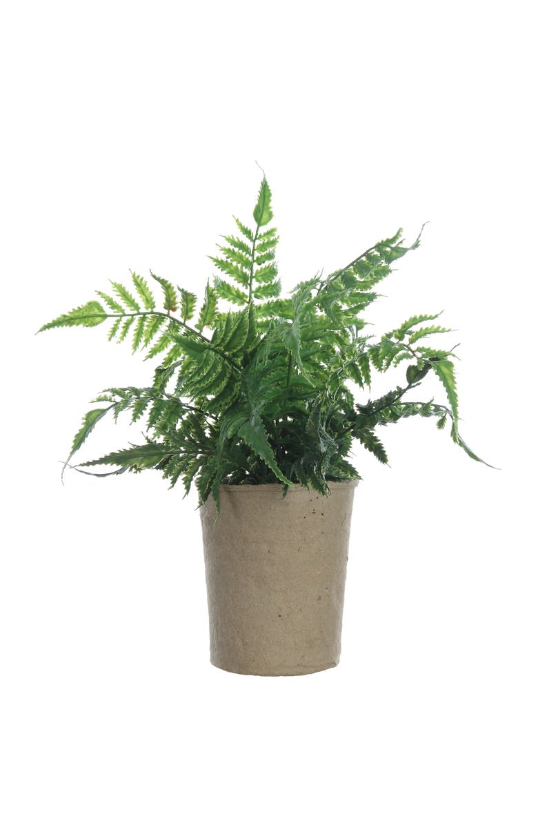 Storied Home Faux Fern in Paper Pot, Main, color, Natural