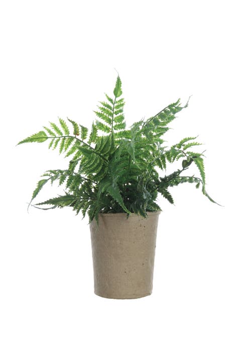 Faux Fern in Paper Pot
