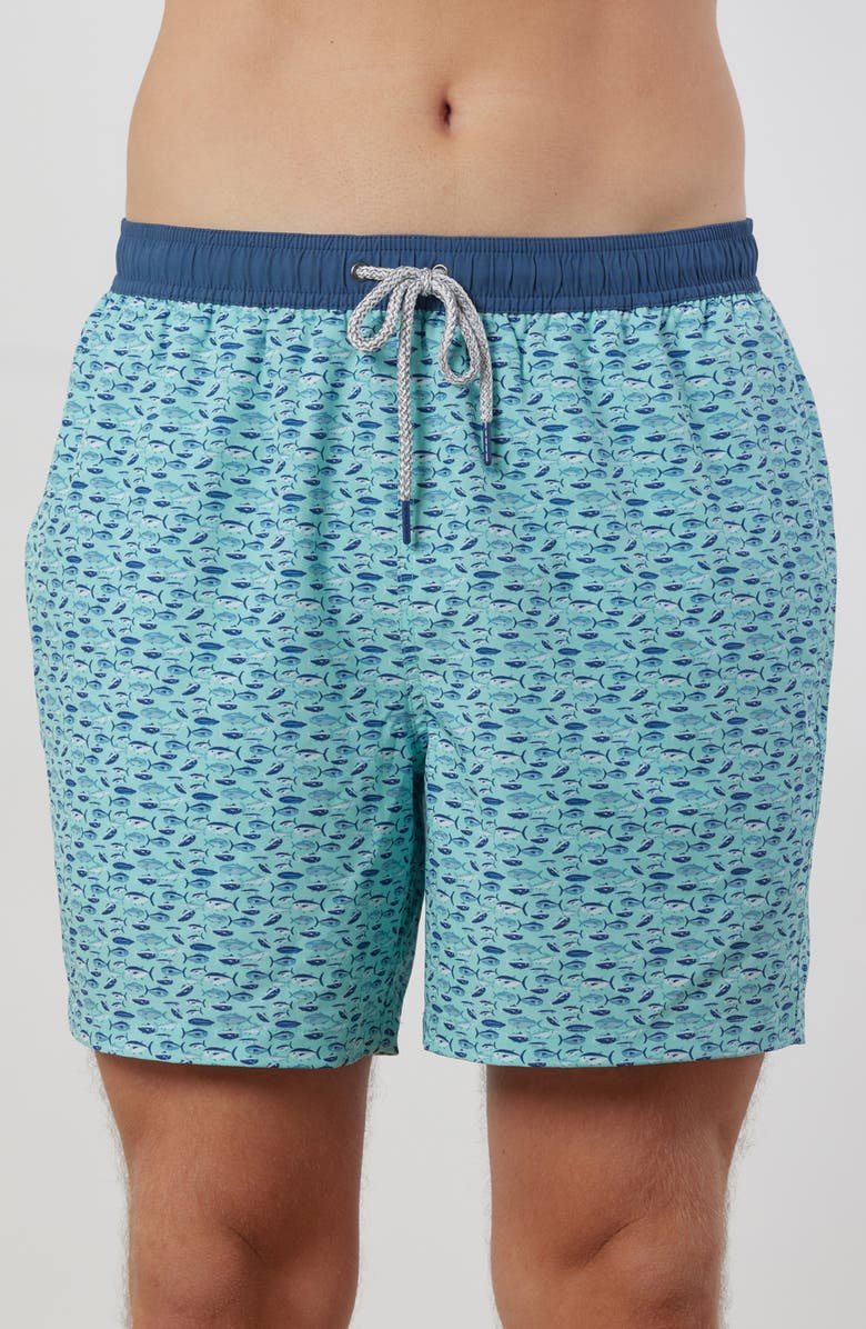 Rainforest Pool of Fish Swim Trunks, Main, color, 