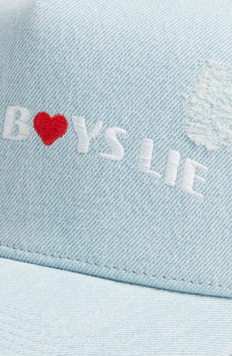 BOYS LIE 1-800 Heart Boys Distressed Trucker Hat, Alternate, color, 