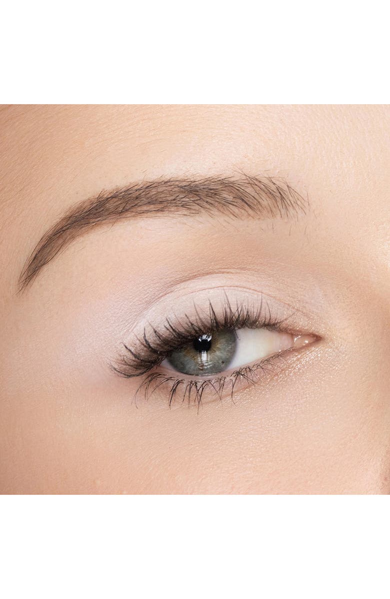 Trish McEvoy Eyeshadow Refill, Alternate, color, Snow