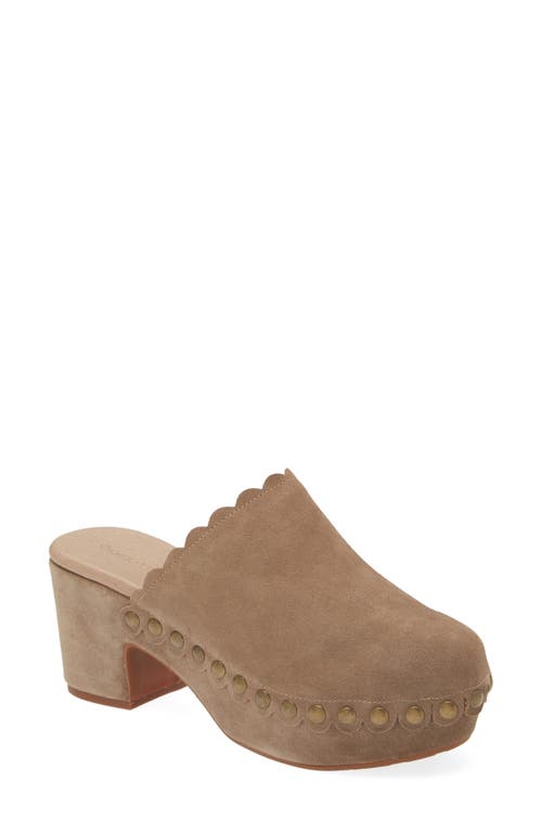 Chocolat Blu Gemini Platform Clog in Taupe Suede 