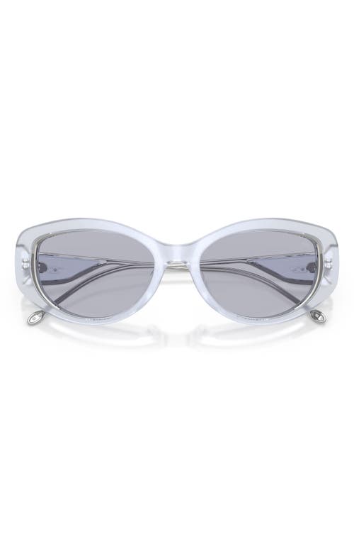 DIESEL DIESEL® GECK-D 54MM OVAL SUNGLASSES 