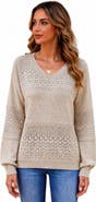 Zilpu Pointelle Knit V-Neck Sweater