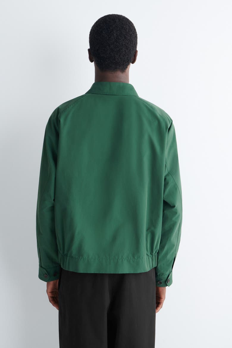 Cotton-nylon Harrington Jacket, Alternate, color, GREEN
