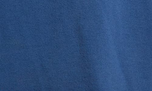 Elwood Vintage Cocalico Eagles T-shirt In Blue