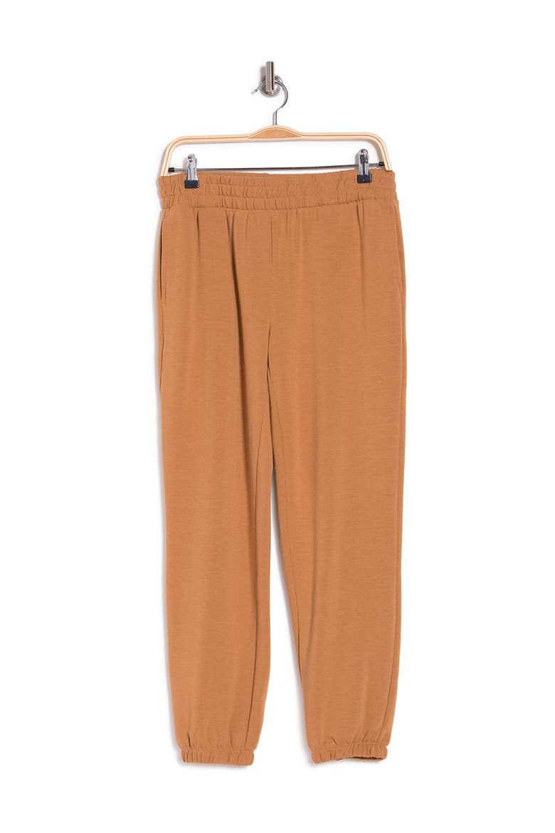 Cozy Solid Knit Jogger, Alternate, color, TAN SUGAR