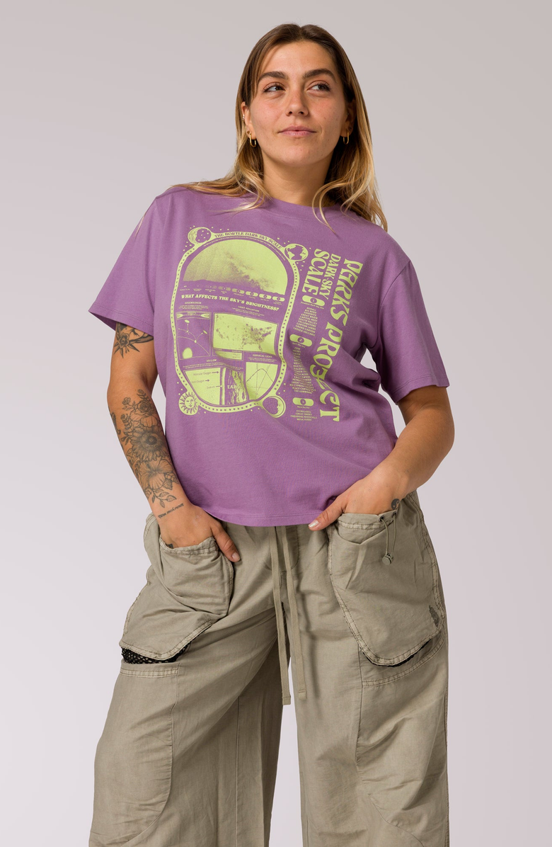 Parks Project Dark Sky Scale Relaxed Tee, Alternate, color, Vintage Plum