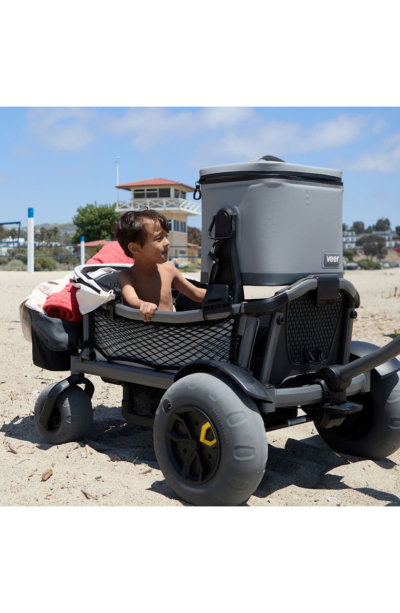 Veer Day 18-Liter Cooler, Alternate, color, Gray Granite