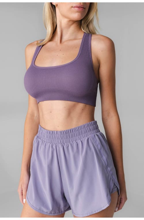 Vitality Synergy X Bra In Violet