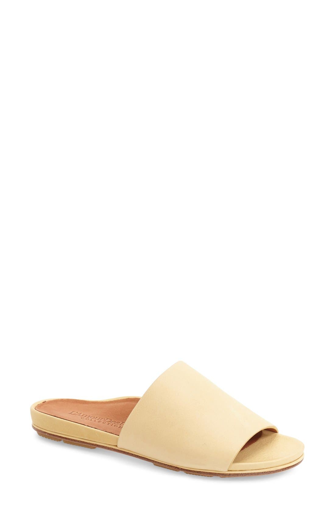 L'Amour des Pieds 'Daney' Flat Slide Sandal, Main, color, 
