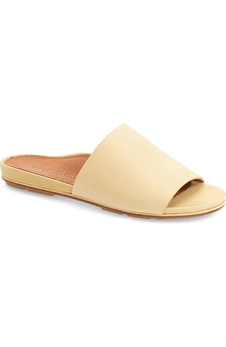 L'Amour des Pieds 'Daney' Flat Slide Sandal, Main, color,