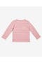  Rose Stripe