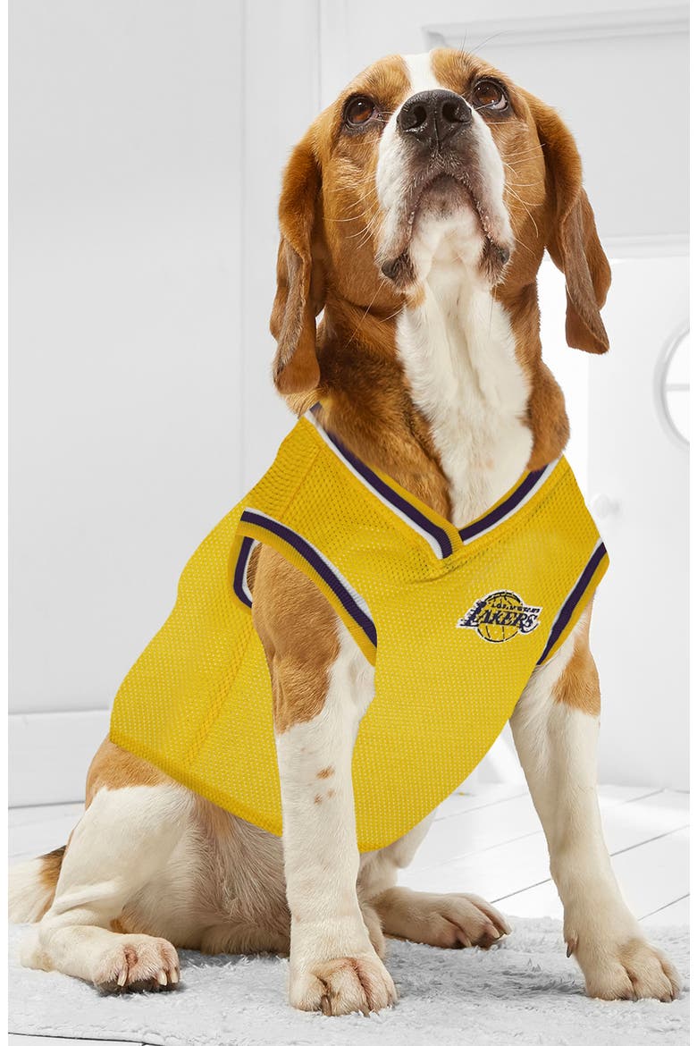 LA Lakers Basketball Mesh Dog Jersey, Alternate, color, YELLOW