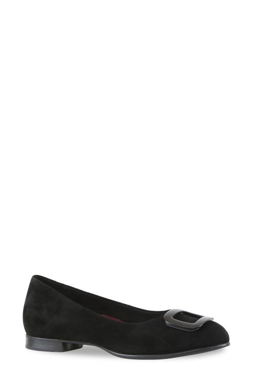 Munro Gianna Buckle Flat in Black Suede 