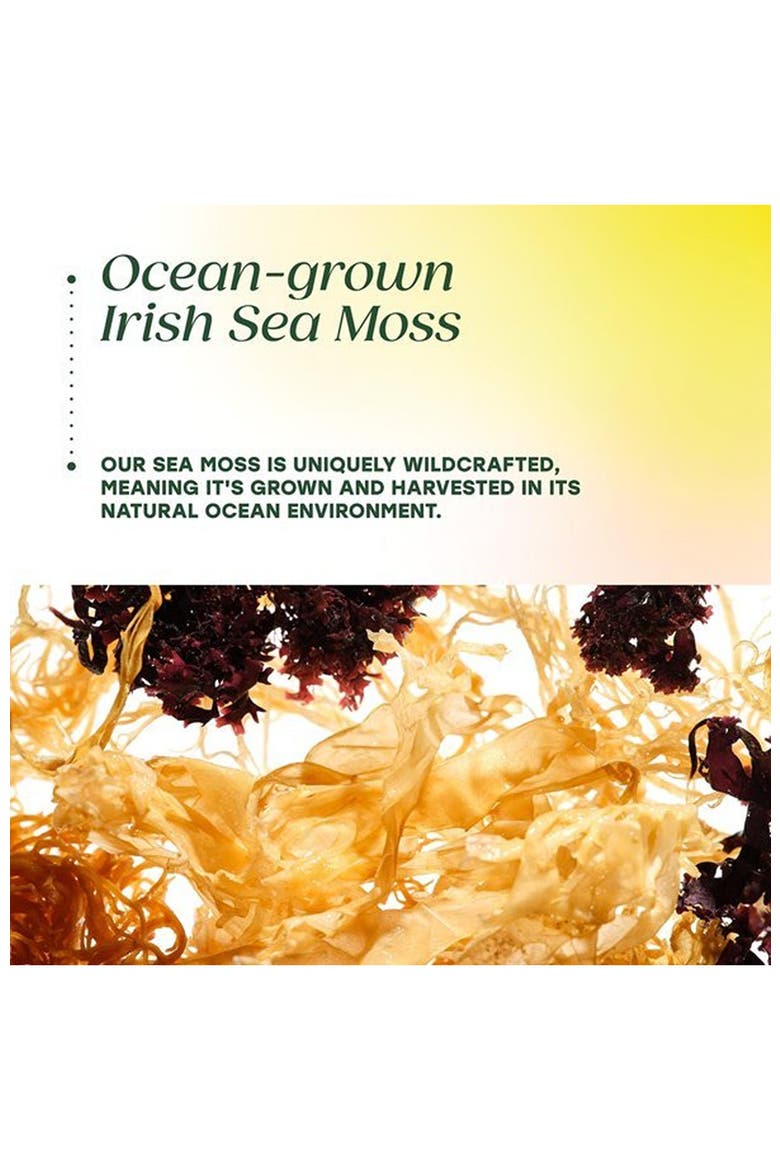 Sea Moss Complex with Irish Sea Moss Plus Black Seed Oil, Burdock Root, Bladderwrack & Ashwagandha, 120 Capsules, Alternate, color, None