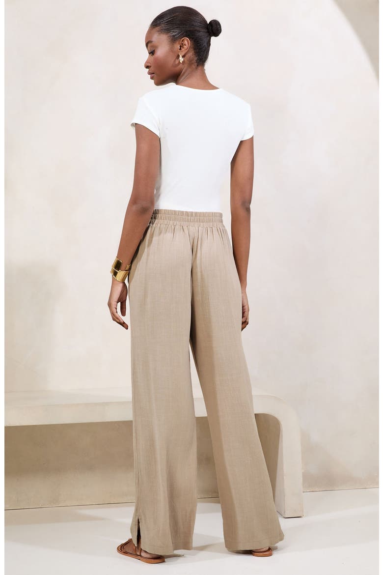 Stone Wide Leg Pants, Alternate, color, NEUTRAL