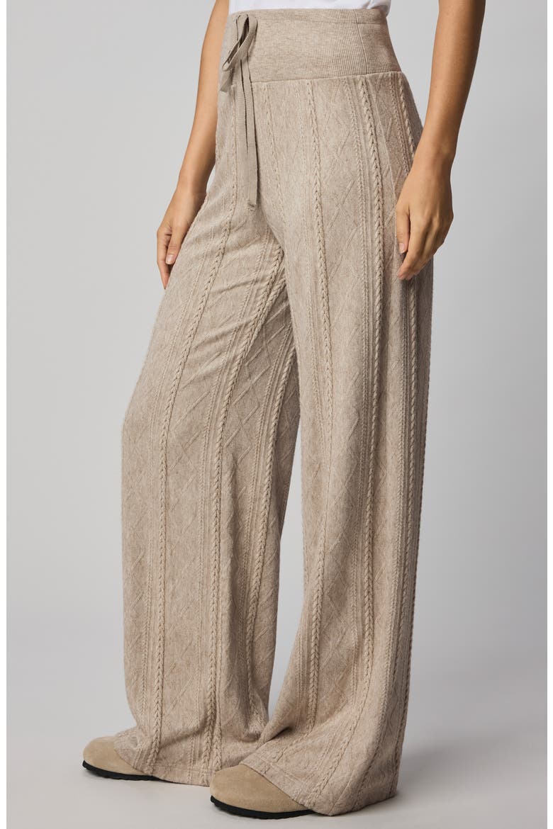 Cable Drawstring Wide Leg Pants, Alternate, color, CAPPUCCINO HEATHER BEIGE