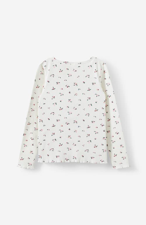 COTTON ON COTTON ON KIDS KID'S JADE CREW