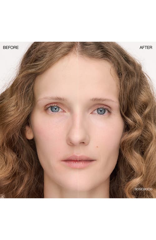 Ogee Complexion Perfecting Concealer In Brown