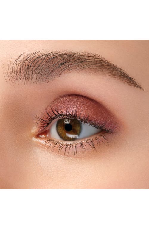 Anna Sui Shiny Eye Color In Cute Cherry Brown 500