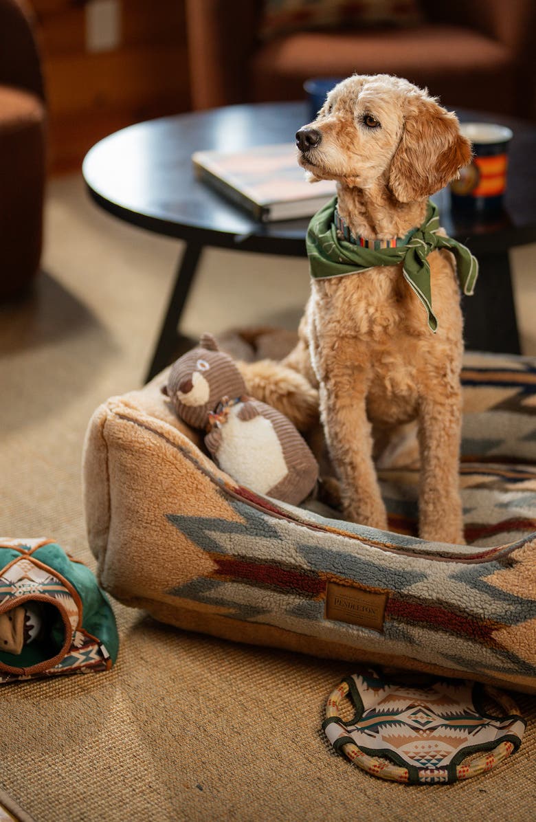 Pendleton Flying Disc Rope Dog Toy, Alternate, color, Beige