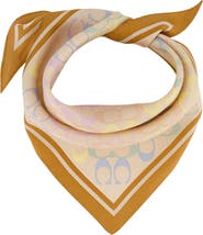COACH Rainbow Signature C Silk Scarf