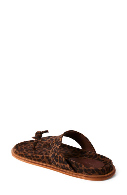 Free People Mika Flip Flop In Chestnut Leopard Suede