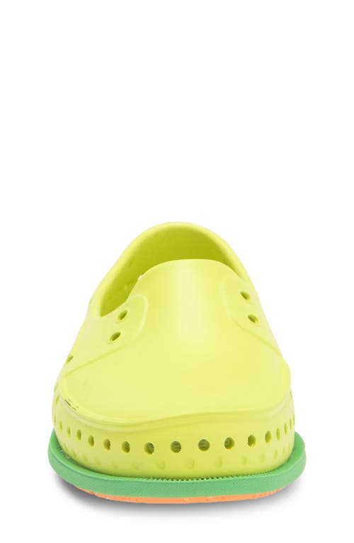 Native Shoes Kids' Howard Sugarlite Slip-on Sneaker In Celgr/cangr/papspckrb