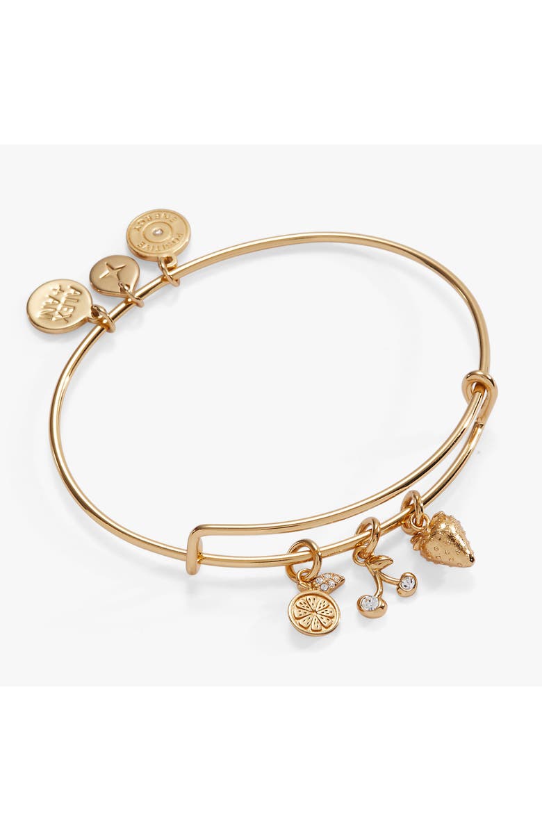 Alex and Ani Summer Fruits Charm Bangle, Main, color, Gold