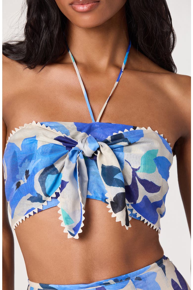 Kehlani Floral Crop Halter Top, Alternate, color, BLUE FLORAL