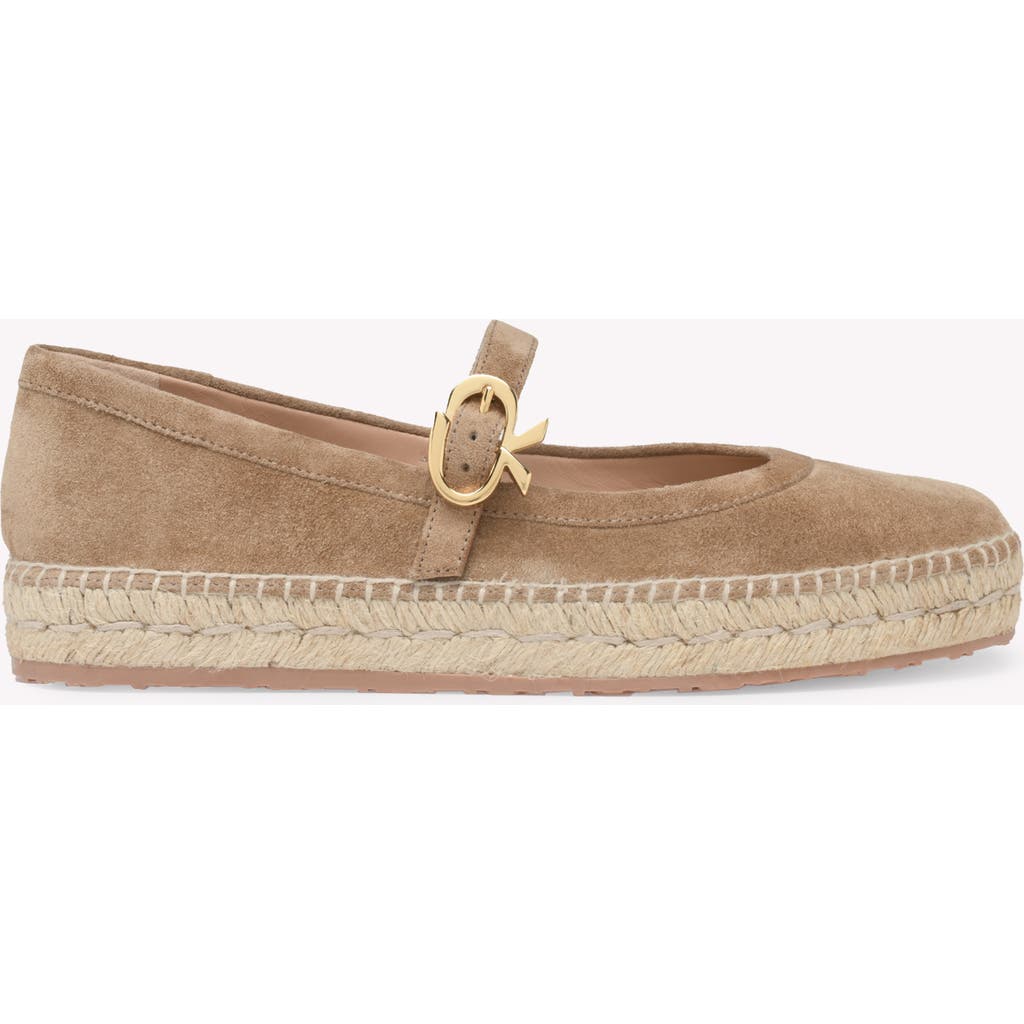 Gianvito Rossi Mary Jane Elda Espadrilles In Brown