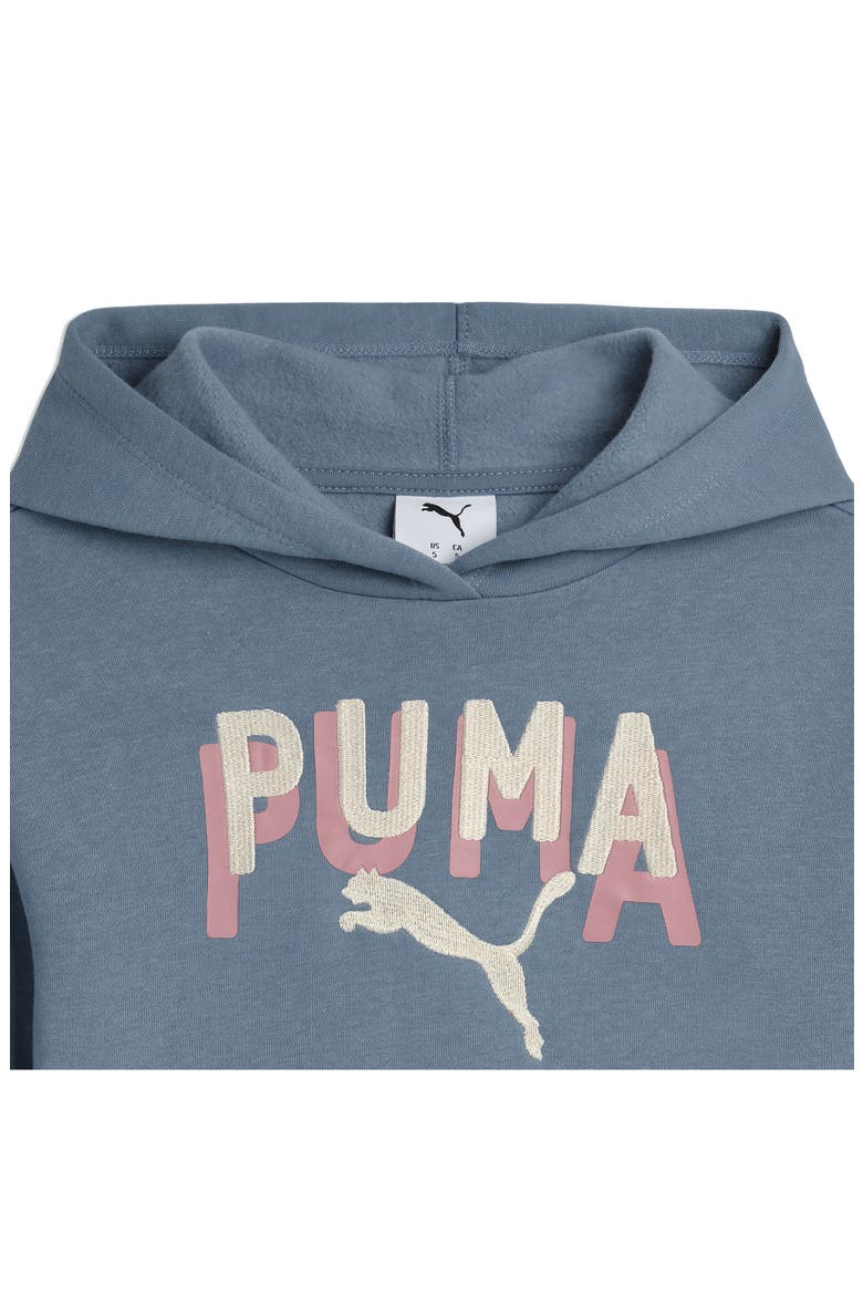 Kids' Class Pack Cotton Blend Fleece Hoodie, Alternate, color, SKY/ PEWTER