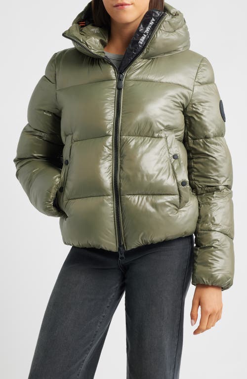 Save The Duck Biddy Water Repellent Hooded Puffer Jacket In Green