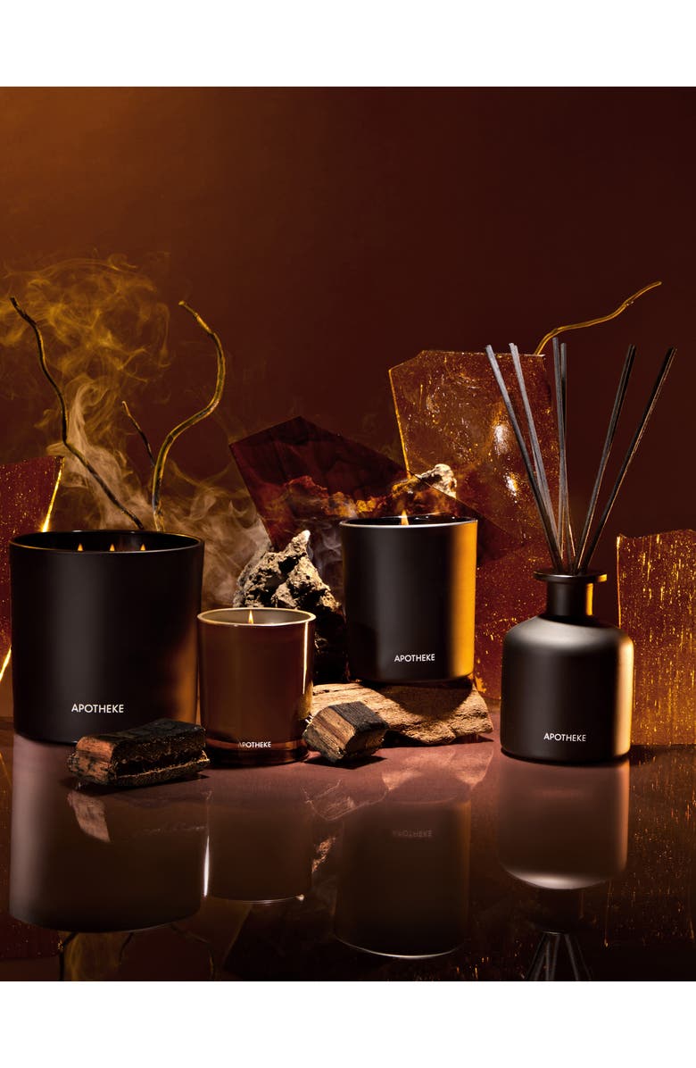 APOTHEKE Kindling Three-Wick Scented Candle, Alternate, color, 