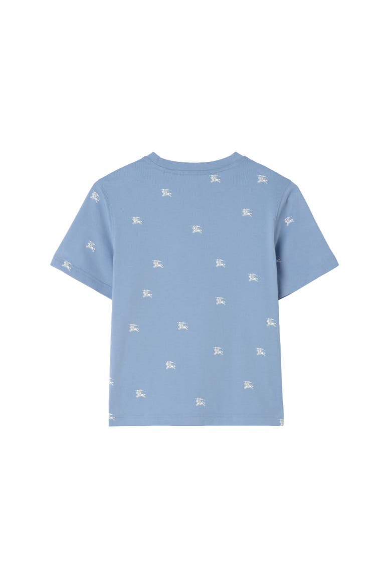 Knight Cotton T-shirt, Alternate, color, Cornflower blue