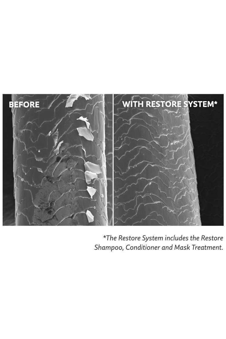 Restore Shampoo, Alternate, color, NO COLOR