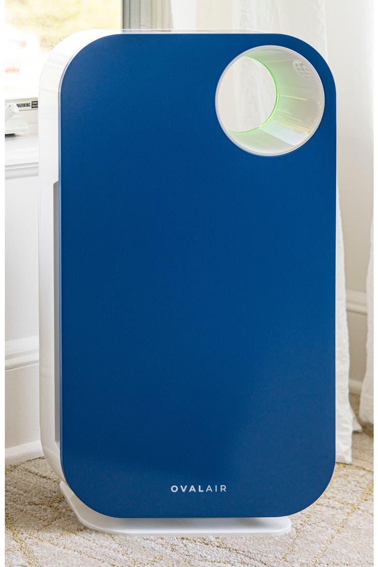 Custom Air Purifier Face Cover, Alternate, color, Santorini Hills Blue