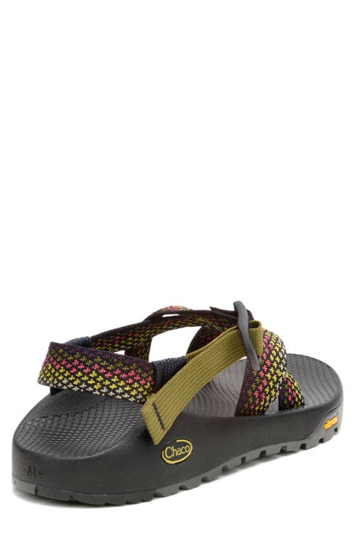 Chaco Rapid Pro Sandal In Aquatic Flora