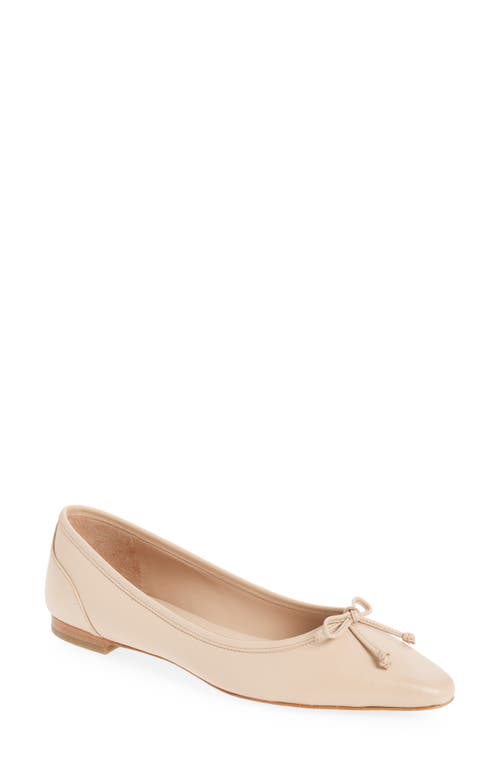 Cole Haan Chlea Pointed Toe Ballet Flat In Porcelain Leather