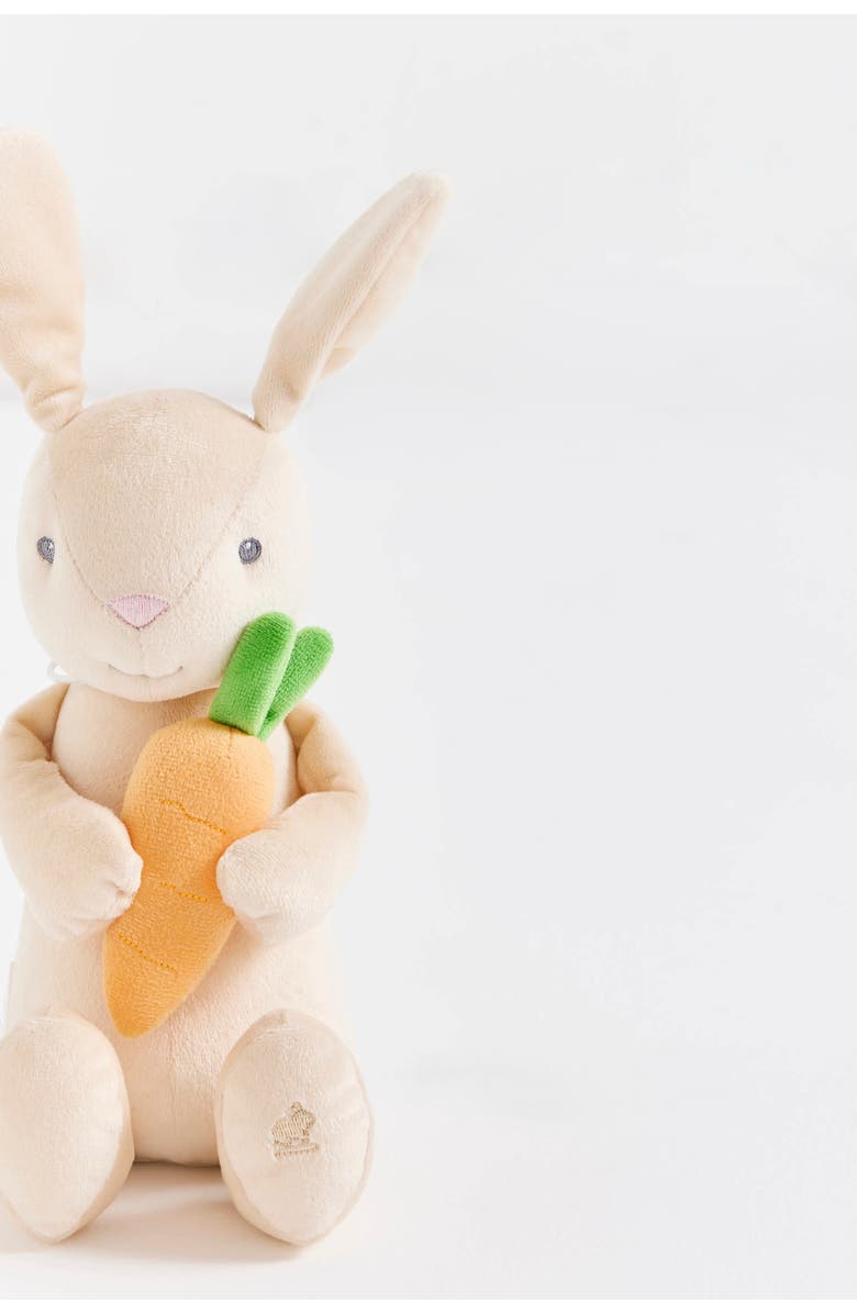 Babycottons Baby Pet, Alternate, color, 