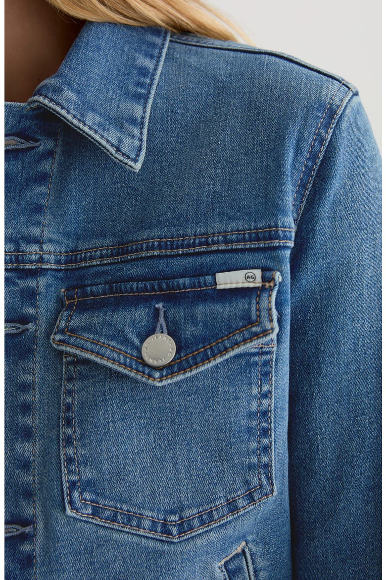 Robyn Crop Stretch Denim Jacket, Alternate, color, CHARMED