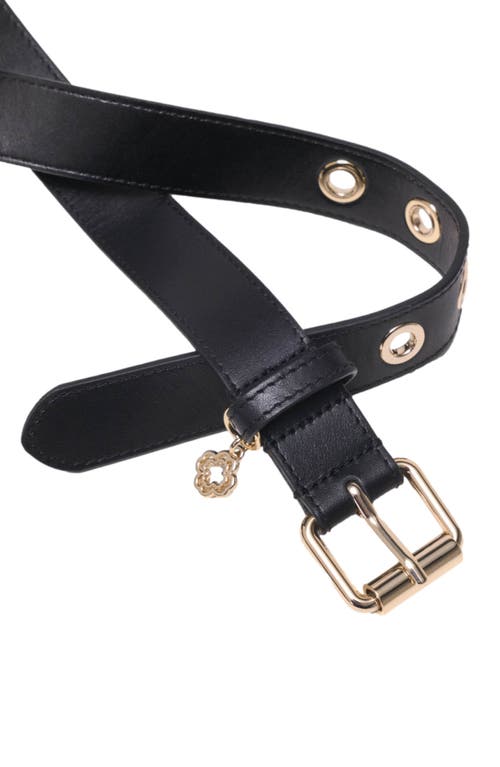 Maje Leather Belt With Miss M Buckle In Black