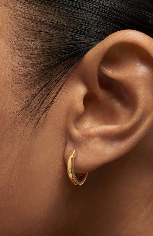 Pdpaola Serena Hoops In Gold