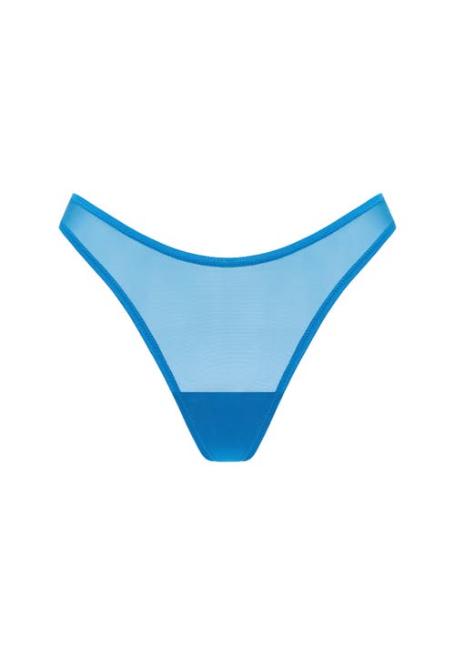 Cuup The Thong In Blue