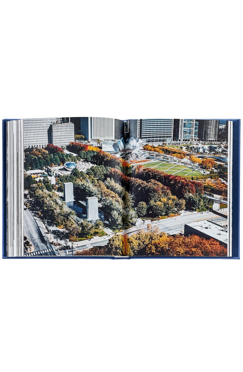 Graphic Image Trope Chicago Leather Edition, Alternate, color, Blue