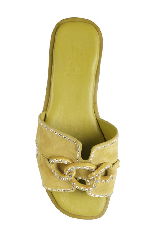 Zigi Nerano Slide Sandal In Yellow Olive