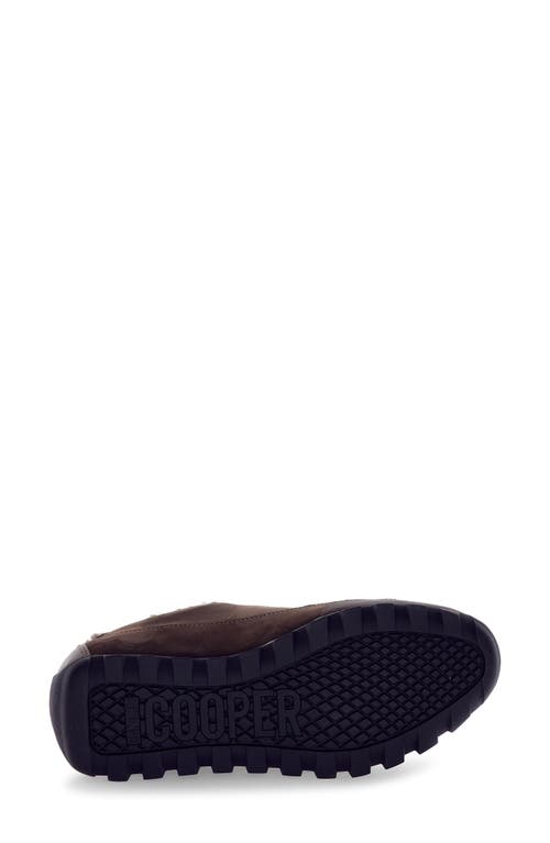 Candice Cooper Runlo Genuine Shearling Lined Sneaker In Brown