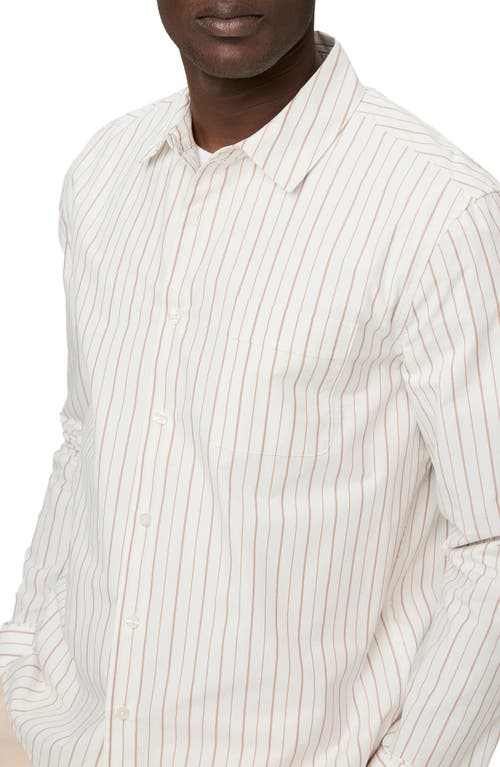 Paige Radovan Stripe Pima Cotton Button-up Shirt In Mesa Ridge Stripe